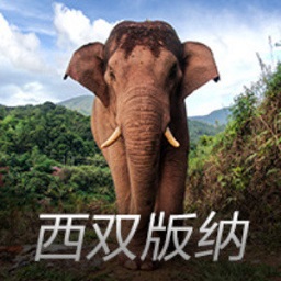 默里突破上篮被波尔津吉斯按帽，随后小萨抢下篮板扣篮得分